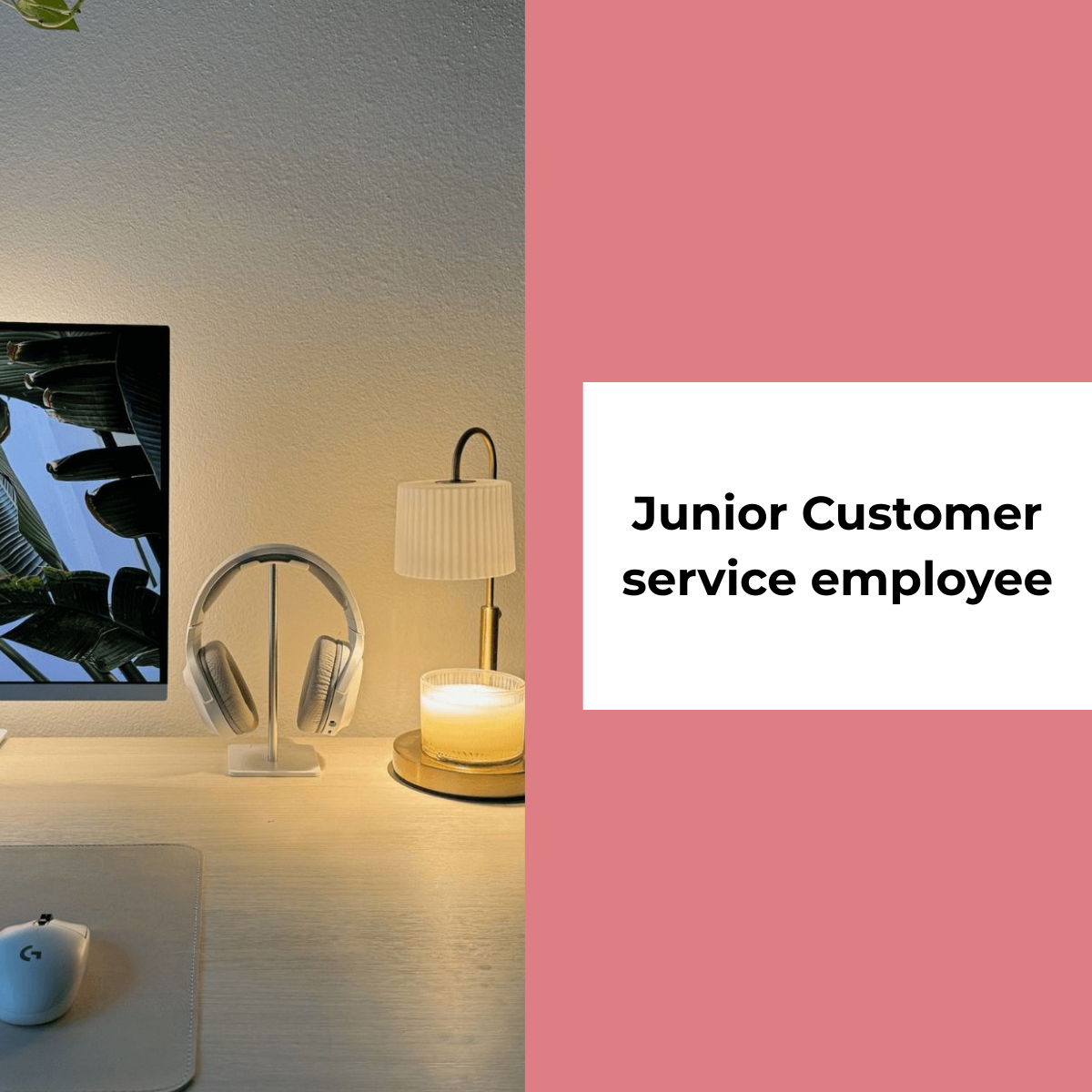 Junior Customer service employee